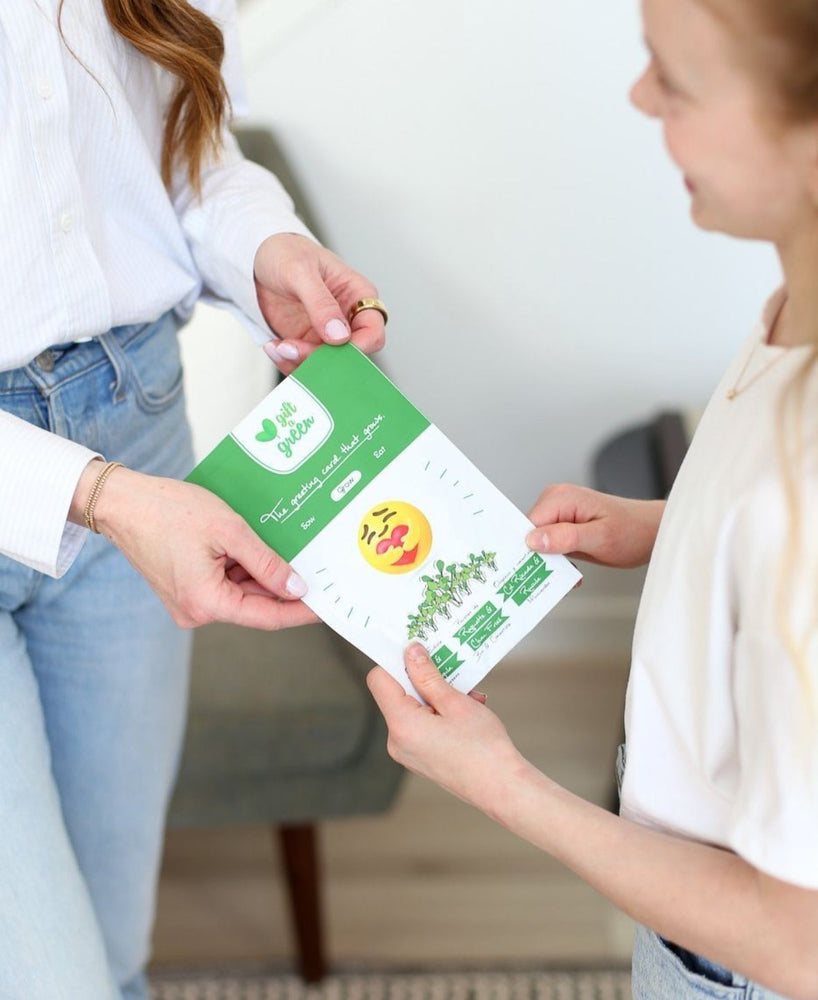 The Story Behind Giftagreen: Revolutionizing Greeting Cards
