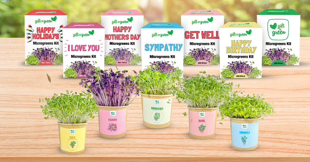 Gift Boxes by giftagreen