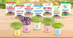 Gift Boxes by giftagreen
