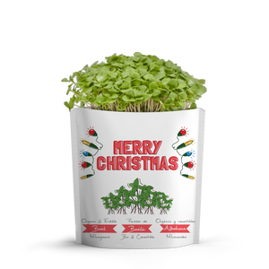 
                  
                    Merry Christmas Card | Basil Microgreens
                  
                