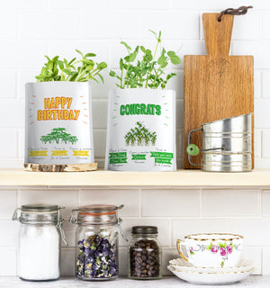 
                  
                    Thank You Card | Arugula Microgreens
                  
                