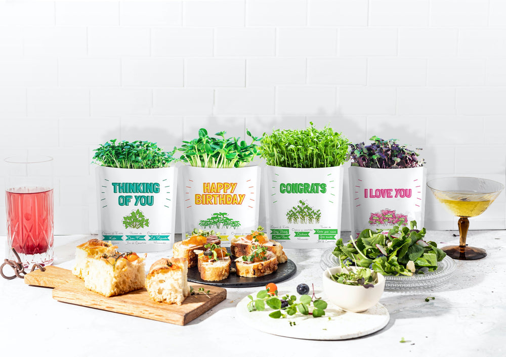 
                  
                    Congrats Card | Kale Microgreens
                  
                