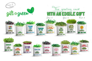 
                  
                    Congrats Card | Kale Microgreens
                  
                
