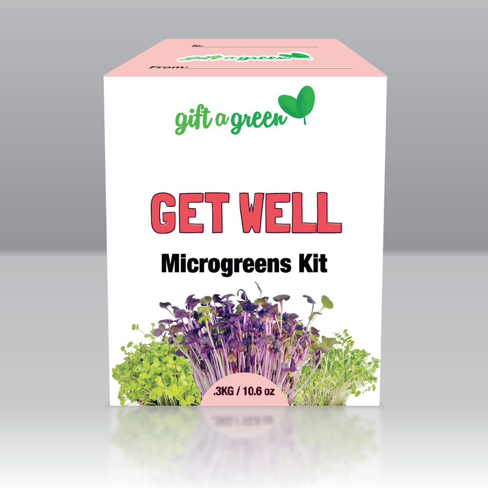 
                  
                    Get Well Gift Box
                  
                