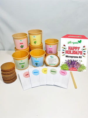 
                  
                    Happy Holidays Gift Box
                  
                