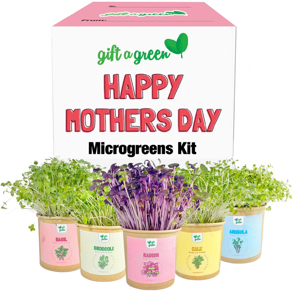 Happy Mothers Day Gift Box