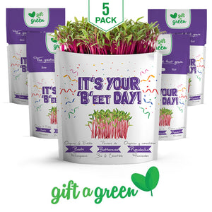 
                  
                    It's Your Beet Day Card | Beet Microgreens
                  
                