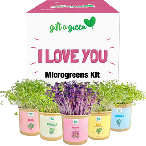 
                  
                    I Love You Gift Box
                  
                