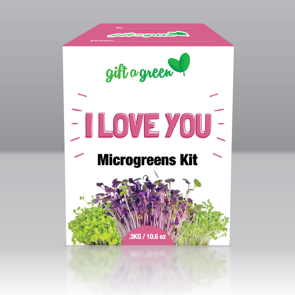 
                  
                    I Love You Gift Box
                  
                