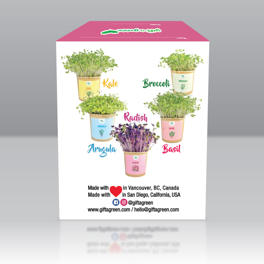 
                  
                    I Love You Gift Box
                  
                