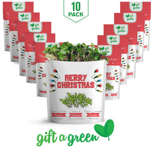 
                  
                    Merry Christmas Card | Basil Microgreens
                  
                