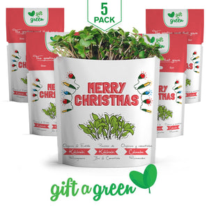 
                  
                    Merry Christmas Card | Basil Microgreens
                  
                