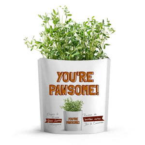 
                  
                    You're Pawsome Card for Dogs | Green Lentils Microgreens
                  
                
