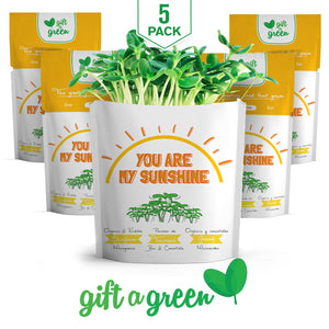 
                  
                    You Are My Sunshine Card | Sunflower Microgreens
                  
                