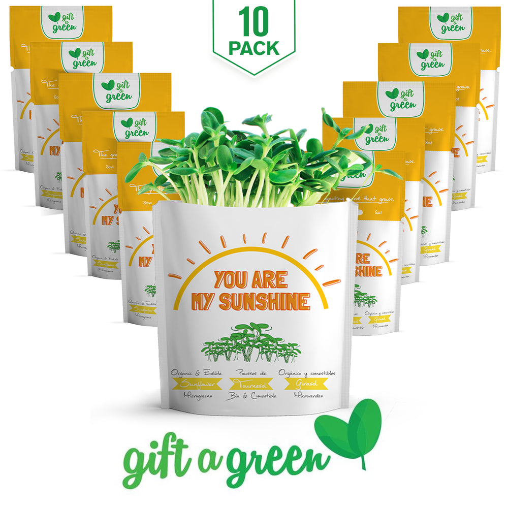 
                  
                    You Are My Sunshine Card | Sunflower Microgreens
                  
                