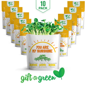 
                  
                    You Are My Sunshine Card | Sunflower Microgreens
                  
                