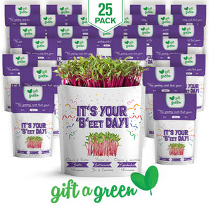 
                  
                    It's Your Beet Day Card | Beet Microgreens
                  
                