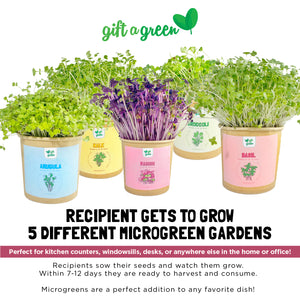 
                  
                    Sympathy Gift Box
                  
                